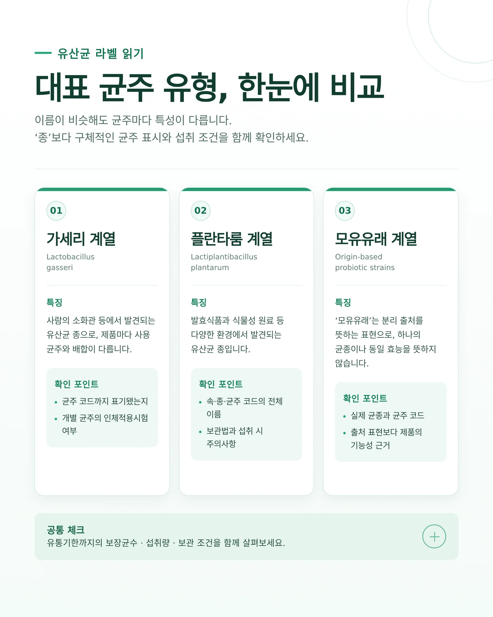 대표 유산균 균주 유형의 특징과 확인 포인트를 비교하는 인포그래픽